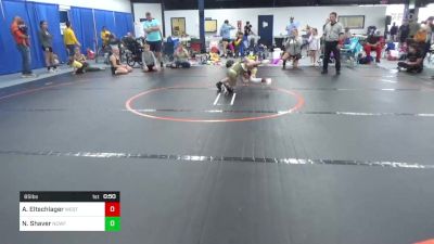 65 lbs Rr Rnd 2 - Andrea Eltschlager, West Allegheny vs Natalie Shaver, North Carolina WF