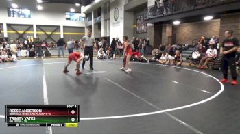 110 lbs Round 2 (4 Team) - Trinity Yates, MN Storm vs Reese Anderson, Nebraska Wrestling Academy