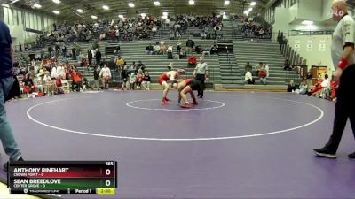 165 lbs Semis & 1st Wrestleback (8 Team) - Sean Breedlove, Center Grove vs Anthony Rinehart, Crown Point