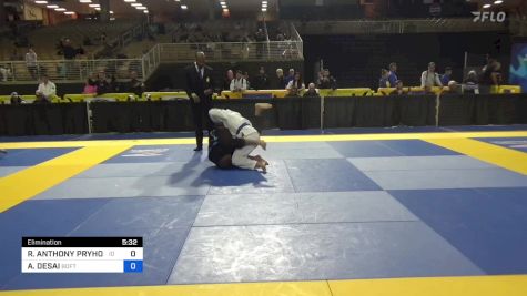 ROBERT ANTHONY PRYHOCKI vs ASHVIN DESAI 2024 Pan Jiu Jitsu IBJJF Championship