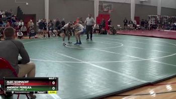 133 lbs Finals (2 Team) - Alec Schmacht, UW Platteville vs Andrew Perelka, John Carroll Univ