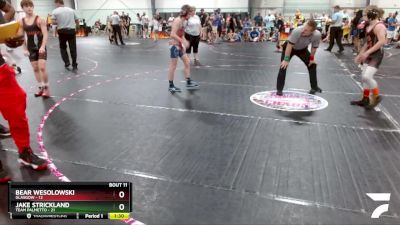 90 lbs Round 4 (6 Team) - Jake Strickland, Team Palmetto vs Bear Wesolowski, Glasgow