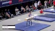 Joseph Pepe - Pommel Horse, North Valley Gym - 2021 US Championships