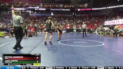 2A-138 lbs Cons. Round 3 - Aiden Hippen, Clear Lake vs Peyton Anderson, NH/TV