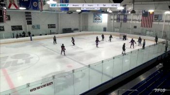 Replay: Home - 2024 Reapers Black vs Tropics Var. | Apr 19 @ 8 PM