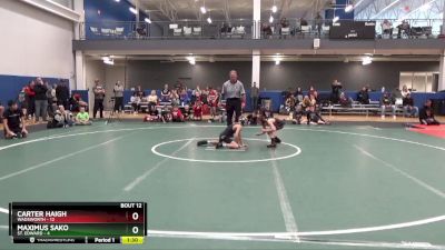 65 lbs Round 4 (6 Team) - Maximus Sako, St. Edward vs Carter Haigh, Wadsworth