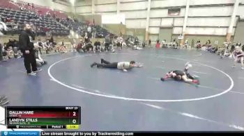 54 lbs Semis & Wb (16 Team) - Landyn Stills, Nevada Elite vs Dallin Hare, Stout