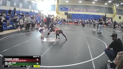 64 lbs Round 3 - Tanner James, Palmetto State Wrestling Acade vs Seller Sisk, White Knoll