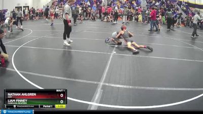 80 lbs Quarterfinal - Liam Finney, Carolina Reapers vs Nathan Ahlgren, C2X