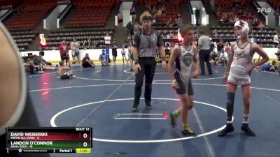 85 lbs Round 4 (6 Team) - Tyler Sage, Metro All Stars vs Brady Corbat, Ninja Gold