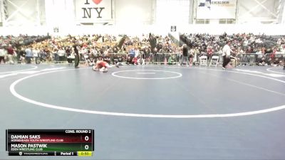 113 lbs Cons. Round 2 - Mason Pastwik, Eden Wrestling Club vs Damian Saks, Horseheads Youth Wrestling Club