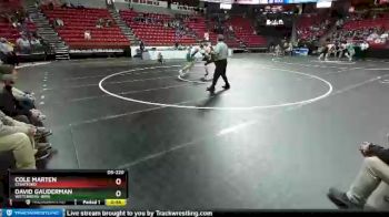 D3-220 lbs 3rd Place Match - David Gauderman, Wittenberg-Birn. vs Cole Marten, Stratford