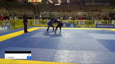 ADAM SMITH vs ALEIDES GOMES 2022 Pan Jiu Jitsu IBJJF Championship