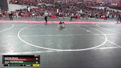 73 lbs Semifinal - Dale Montemurro, B.A.M. vs Austin Peach, Milton Monsters Wrestling Club