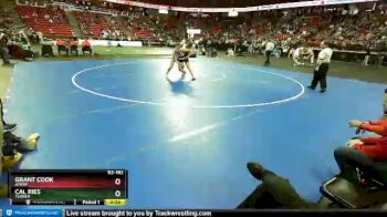 D2-182 lbs 5th Place Match - Grant Cook, Amery vs Cal Ries, Turner