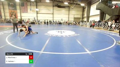 100 lbs Consi Of 32 #2 - Jovani Martinez, RI vs Cameron Haines, FL