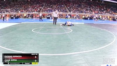 D3-113 lbs Champ. Round 1 - Phoenix Espinoza, Negaunee HS vs Chase Sopha, Yale HS