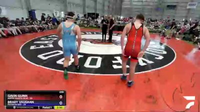 220 lbs Round 3 (8 Team) - Gavin Guinn, North Dakota Blue vs Brady Vaughan, Michigan Red