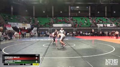 220 lbs Quarterfinal - Anthony Flores, Susan Moore Hs vs Stephen Walls, New Hope HS