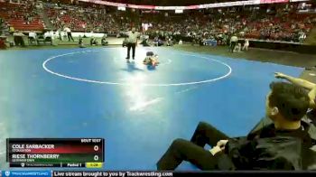 D1-132 lbs Champ. Round 1 - Cole Sarbacker, Stoughton vs Riese Thornberry, Germantown