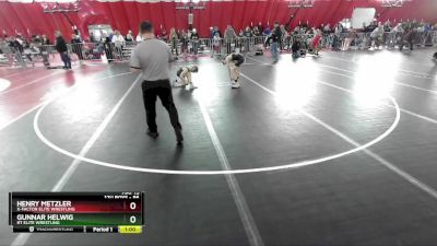 86 lbs Semifinal - Gunnar Helwig, RT Elite Wrestling vs Henry Metzler, X-Factor Elite Wrestling