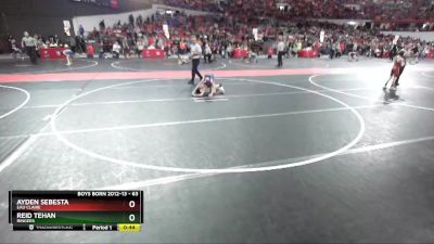 63 lbs Quarterfinal - Ayden Sebesta, Eau Claire vs Reid Tehan, Ringers