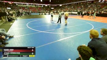 D1-182 lbs Cons. Semi - Kasey Gish, West Bend East vs Ethan Winkelman, Hudson