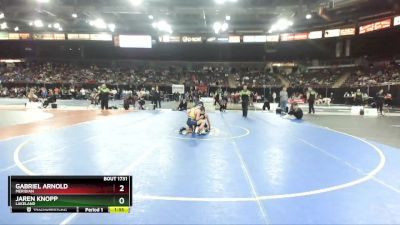 106 lbs Quarterfinal - Gabriel Arnold, Meridian vs Jaren Knopp, Lakeland