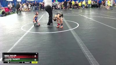 48 lbs Finals (2 Team) - Brex Taylor, Ohio Gold 10k vs Cooper Tackett, CP Elite