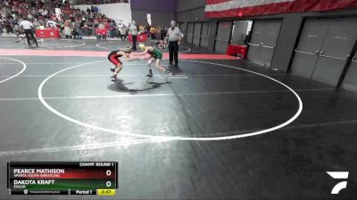 91 lbs Champ. Round 1 - Dakota Kraft, Edgar vs Pearce Mathison, Sparta Youth Wrestling