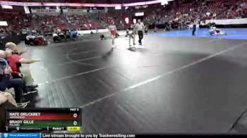 D1-138 lbs Cons. Round 1 - Nate Druckrey, Arrowhead vs Brady Gille, Pulaski
