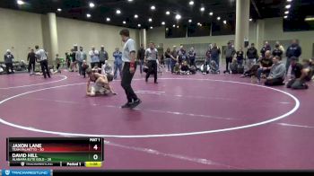 100 lbs Round 5 (6 Team) - David Hill, Alabama Elite Gold vs Jaxon Lane, Team Palmetto