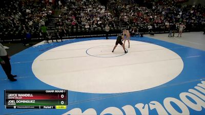 165 lbs Champ. Round 1 - Jayce Wandell, Cedar Valley vs Joel Dominguez, Kearns