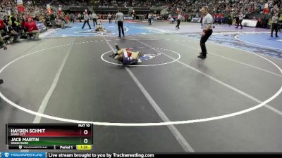 Quarterfinal - Hayden Schmit, David City vs Jace Martin, Wood River