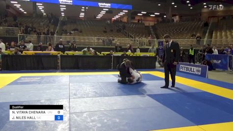 NATHAN VITAYA CHENARAK vs JAMES NILES HALL 2024 Pan Jiu Jitsu IBJJF Championship