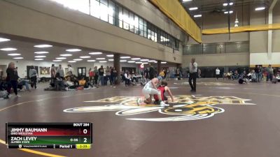 133 lbs Cons. Semi - Jimmy Baumann, Ohio Wesleyan vs Zach Levey, Alfred State