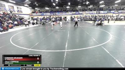 141 lbs Cons. Round 5 - Cale Coppess, Wheaton (IL) vs Connor Krueger, St. Johns (MN)