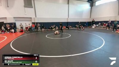 41 lbs Quarterfinal - Bo Baum, Texarkana Wrestling Club vs Adrian Chinchilla, Rise Wrestling