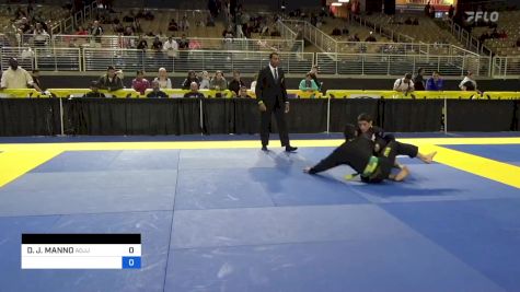 DOMINIC J. MANNO vs DEREK JEZINI CASTRO DE CARVALHO 2024 Pan Jiu Jitsu IBJJF Championship