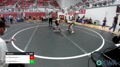 100 lbs Rr Rnd 5 - Addison Starcevich, Norman Grappling Club vs Andrew Hartmann, Shelton Wrestling Academy