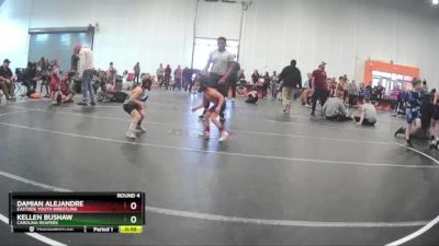 44 lbs Round 4 - Damian Alejandre, Eastside Youth Wrestling vs Kellen Bushaw, Carolina Reapers