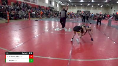 65 lbs Round 4 - Ellie Schmadeke, Waverly Area Wrestling Club vs Caroline Moyer, Waconia Wildcats