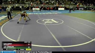 Cons. Round 2 - Leo Kriegler, Papillion-LaVista South vs Levi Cerny, Columbus