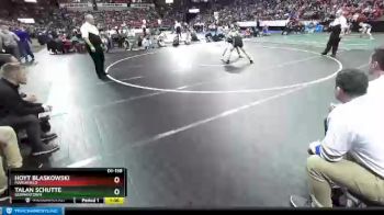 D1-138 lbs Semifinal - Hoyt Blaskowski, Marshfield vs Talan Schutte, Germantown
