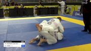 MARK ANDREW DWYER vs MICHAL VEBR 2024 Pan Jiu Jitsu IBJJF Championship