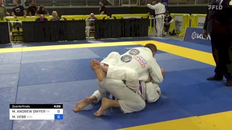 MARK ANDREW DWYER vs MICHAL VEBR 2024 Pan Jiu Jitsu IBJJF Championship