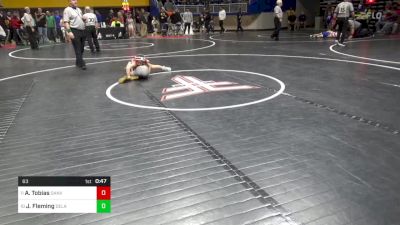 63 lbs Semifinal - Aylah Tobias, Danville vs Julie Fleming, Delaware Valley