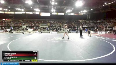 145 lbs Champ. Round 2 - Cole Inskeep, Blackfoot vs Mateo Caso, Walla Walla