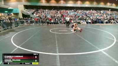 138 lbs Cons. Round 2 - D`Angelo Cardinas, Silver Creek vs Ezekiel Fellman, Casa Grande