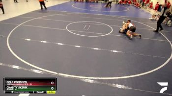 130 lbs Finals (8 Team) - Chasity Skerik, Bemidji vs Cole Condezo, Marshall/Lakeville/RTR